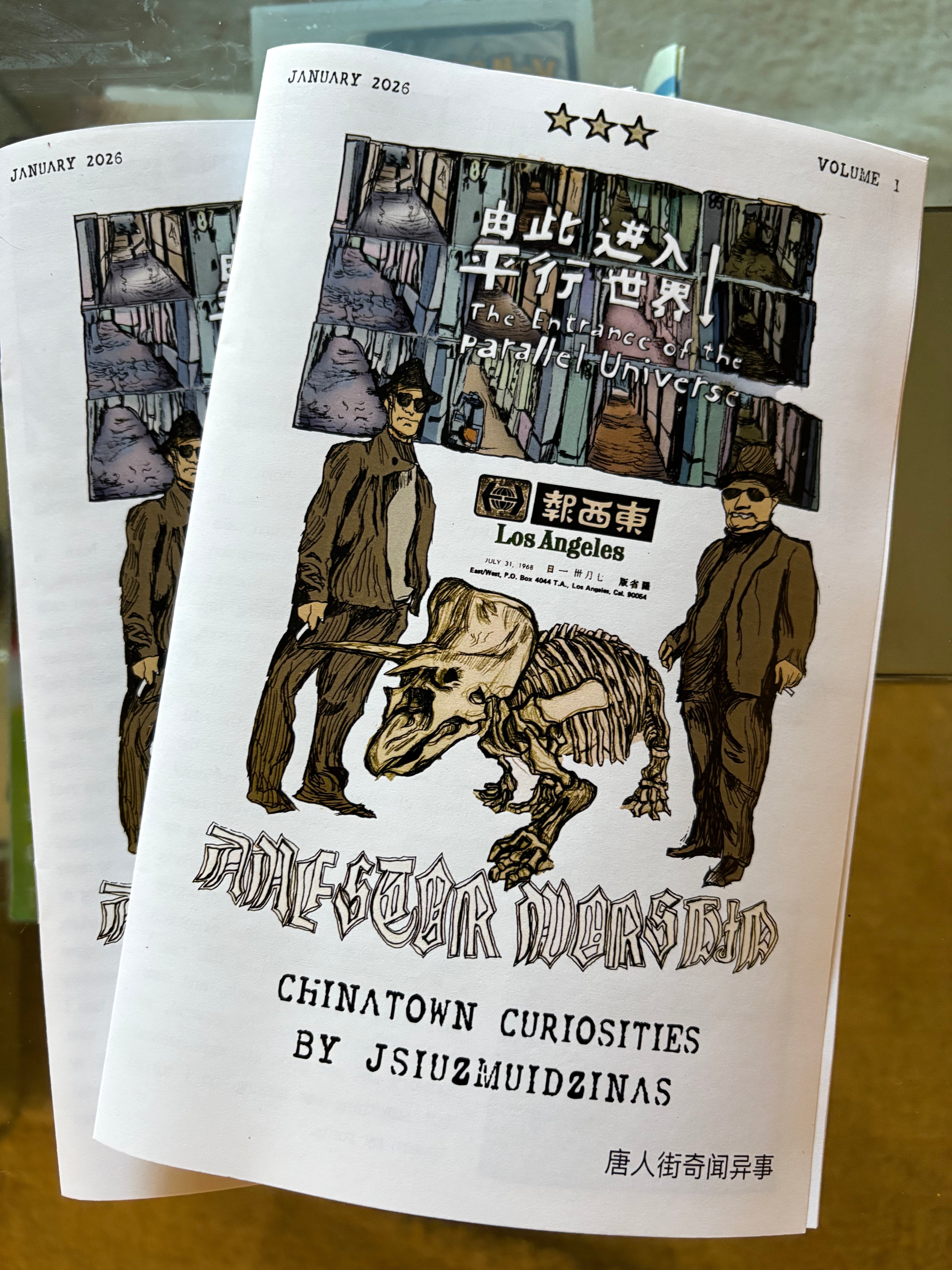 Chinatown Curiosities Zine