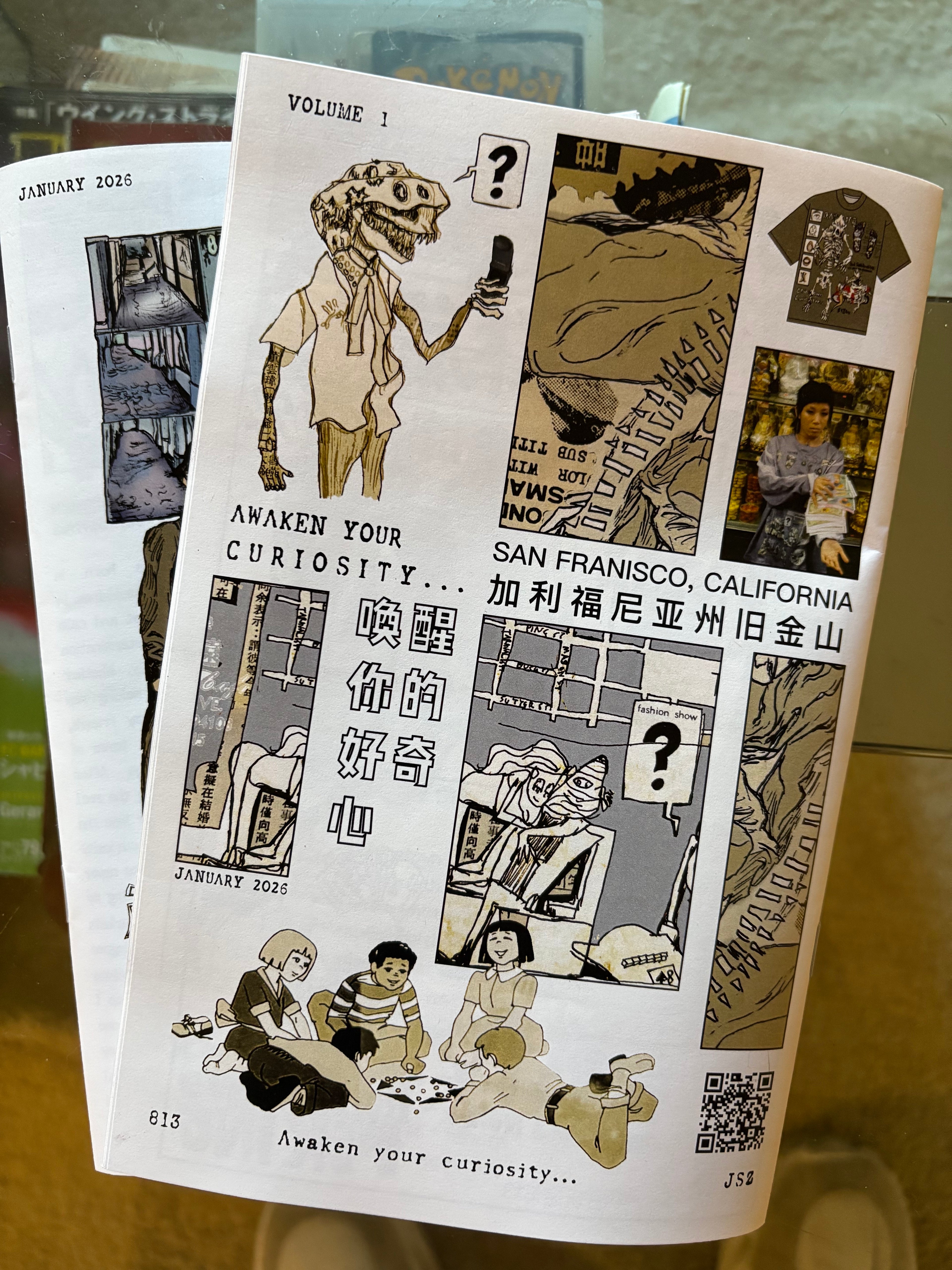 Chinatown Curiosities Zine